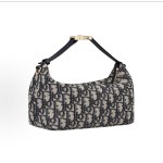 DIOR迪奥 Travel Nomad系列 刺绣 ⼿拿包 中号 ⼥款 蓝⾊